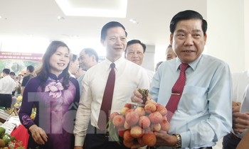  Bắc Giang xúc tiến tiêu thụ vải thiều và sản phẩm Ocop 