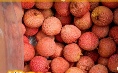 Vải thiều sang Nhật Bản là 'quà biếu sang trọng'