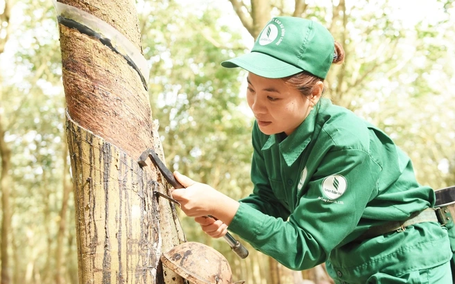 VRG tăng tốc phát triển, tối ưu nguồn lực