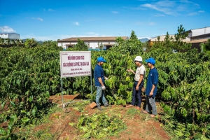 Gia Lai quyết tâm đột phá để tăng trưởng kinh tế 2 con số