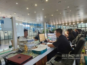 Bước tiến dài thu xuất nhập khẩu