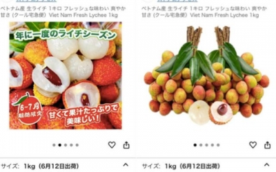 Giá vải thiều Việt Nam bán trên Amazon Nhật Bản giá nửa triệu đồng/kg