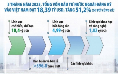 Việt Nam đứng trước “cửa sổ cơ hội” để thu hút giới siêu giàu