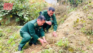 Bảo vệ môi trường đất: Vấn đề cần quan tâm