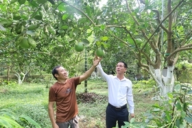 Đưa đặc sản địa phương thành sản phẩm OCOP