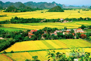 Hoạch định chính sách cho kinh tế nông thôn tỉnh Ninh Bình trong giai đoạn mới