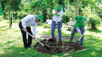 Hưởng ứng phong trào trồng cây xanh 