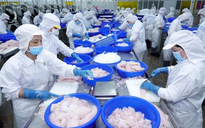 Thủy sản giải 'bài toán' thuế đối ứng