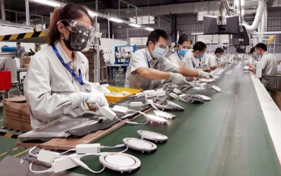 Giải pháp nào bảo vệ thương hiệu Việt trong quá trình xuất khẩu