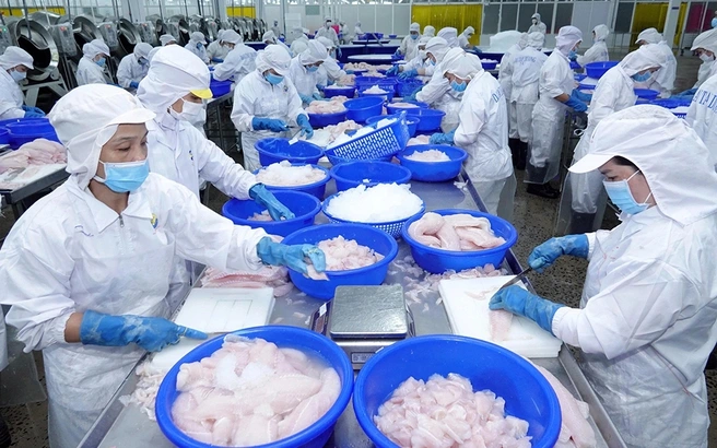 Thủy sản giải 'bài toán' thuế đối ứng