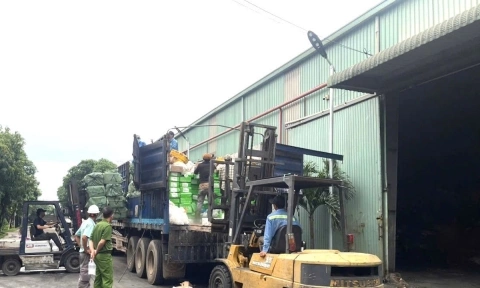 Gần 10 tấn vú heo, dồi trường nhiễm khuẩn chuẩn bị ra thị trường