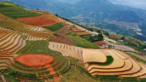 Phong Dụ Thượng - “bức họa” thiên nhiên tươi đẹp