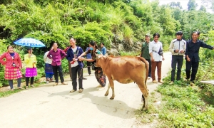 Phát triển bền vững vùng đồng bào dân tộc thiểu số và miền núi - Cơ hội đón vận hội mới 