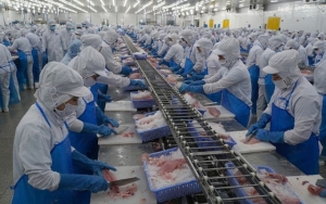 Rào cản thương mại: Thách thức và cơ hội cho doanh nghiệp xuất khẩu Đồng Tháp