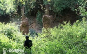 Ưu tiên thiết kế đường trên cao đối với tuyến giao thông kết nối tỉnh Đồng Nai với Bình Phước đoạn qua Khu dự trữ sinh quyển thế giới Đồng Nai