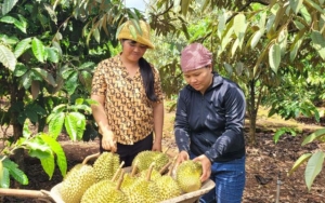 Gia Lai hướng tới mục tiêu bứt phá, chú trọng các ngành kinh tế mũi nhọn