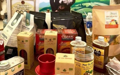 Gia Lai tăng tốc chuyển đổi số: Xóa khoảng cách, nối thị trường