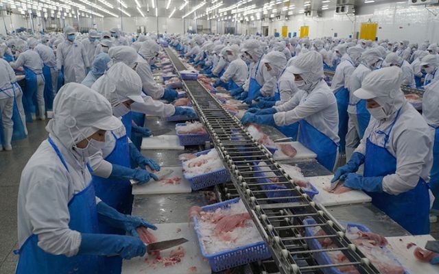 Rào cản thương mại: Thách thức và cơ hội cho doanh nghiệp xuất khẩu Đồng Tháp