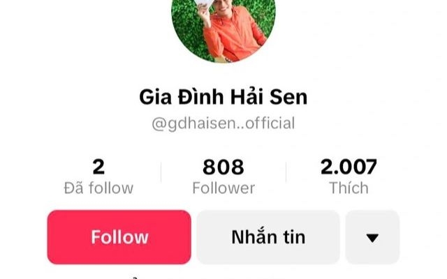 Bắt TikToker 'Gia đình Hải Sen'