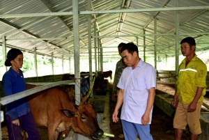 Phòng, chống dịch bệnh cho đàn vật nuôi