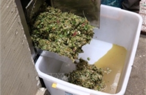 Công nghệ ủ rác hữu cơ dễ phân hủy - Giải pháp tiết kiệm, thân thiện môi trường