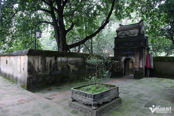 Ngôi chùa sở hữu những di sản cổ nhất, lớn nhất, độc đáo nhất Việt Nam và thế giới