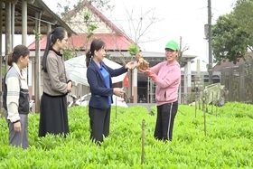 Phụ nữ khó khăn vươn lên làm kinh tế giỏi