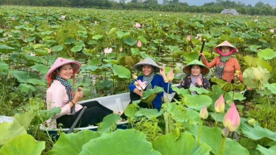 Đồng Tháp thu hút du khách bởi nét đẹp mộc mạc, tự nhiên