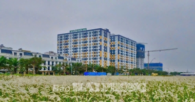 Nhà ở xã hội phục vụ công nhân, lao động: Tăng tốc các dự án