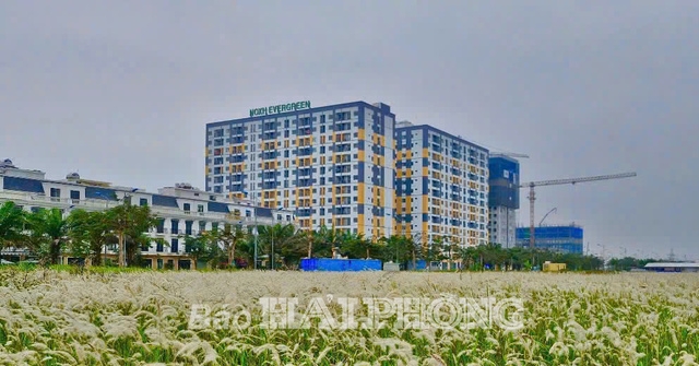 Nhà ở xã hội phục vụ công nhân, lao động: Tăng tốc các dự án
