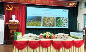 Hạ Lang đẩy mạnh phát triển sản phẩm OCOP