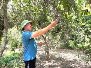 Giải bài toán nông sản 