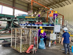 Thiếu hụt nguyên liệu, các nhà máy sản xuất nước ép trái cây giảm mạnh sản lượng