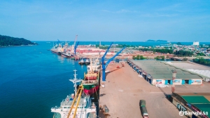 Nghệ An: Kim ngạch xuất khẩu 6 tháng đầu năm tăng cao