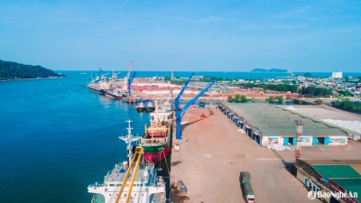 Nghệ An: Kim ngạch xuất khẩu 6 tháng đầu năm tăng cao