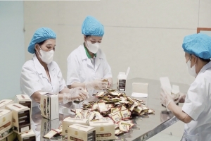 Khuyến khích phát triển dược liệu theo hướng bền vững