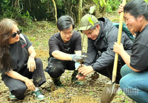 Khi âm nhạc đồng hành cùng bảo tồn thiên nhiên