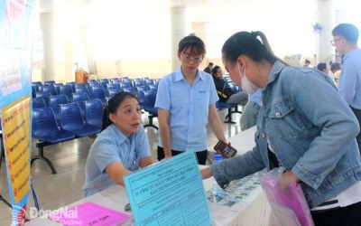 Nhiều vị trí việc làm chờ người lao động