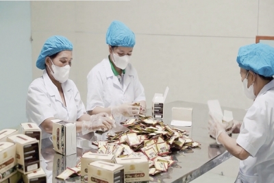 Khuyến khích phát triển dược liệu theo hướng bền vững