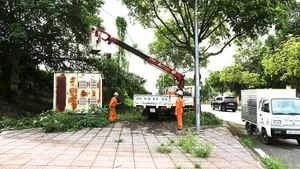 Lào Cai: Bảo đảm điện an toàn, liên tục cho Kỳ thi tốt nghiệp THPT năm 2025