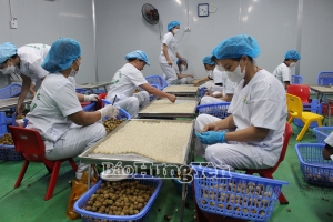 Hưng Yên có 345 sản phẩm được chứng nhận OCOP