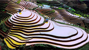 Tài nguyên văn hóa thúc đẩy du lịch phát triển bền vững trong kỷ nguyên mới