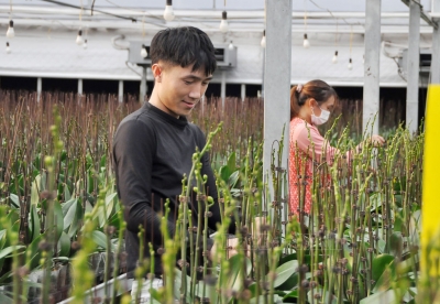 Tỷ lệ giải ngân lĩnh vực khoa học công nghệ, đổi mới sáng tạo, chuyển đổi số đạt 47%