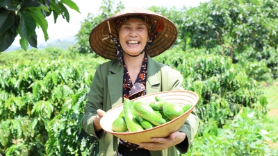 Nông dân Đạ Đờn nâng tầm nông sản