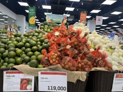 Chiếu xạ trái vải xuất khẩu gặp khó vì...cơ chế tài chính