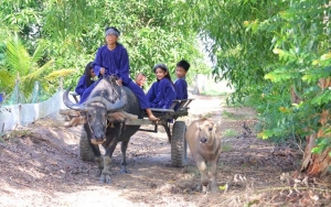 Kỳ nghỉ hè không thiết bị công nghệ
