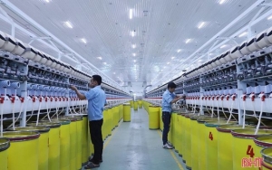 Kim ngạch xuất khẩu Hà Tĩnh đứng thứ 3 Bắc Trung Bộ