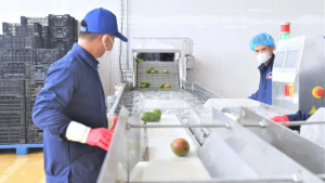 Kết nối sản xuất và thương mại đặc sản vùng cao Tây Bắc