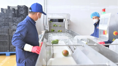 Kết nối sản xuất và thương mại đặc sản vùng cao Tây Bắc