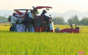 Vững vàng trước thử thách, nắm bắt cơ hội tăng trưởng kinh tế